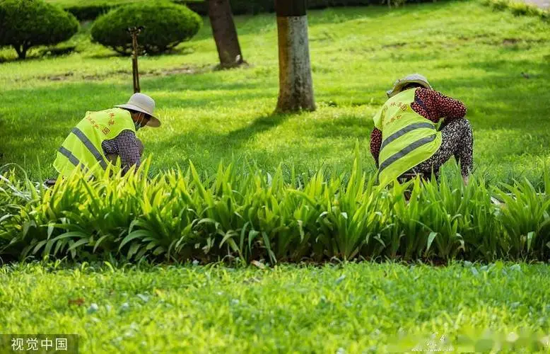 150室内园林景观设计