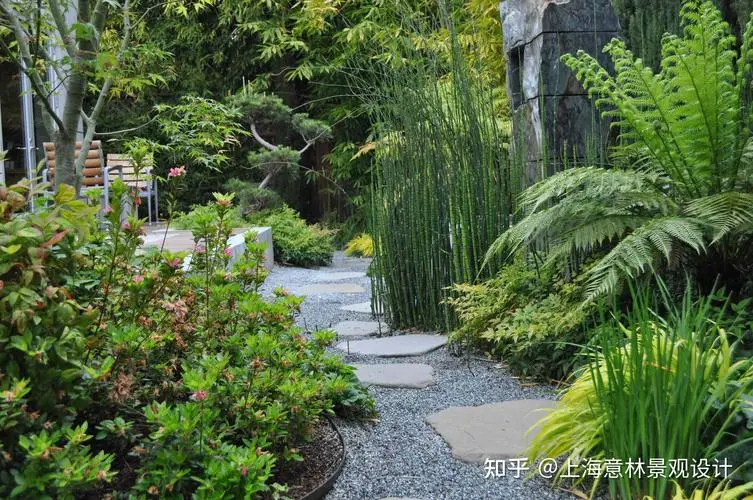 江油绿化苗木批发市场在哪里