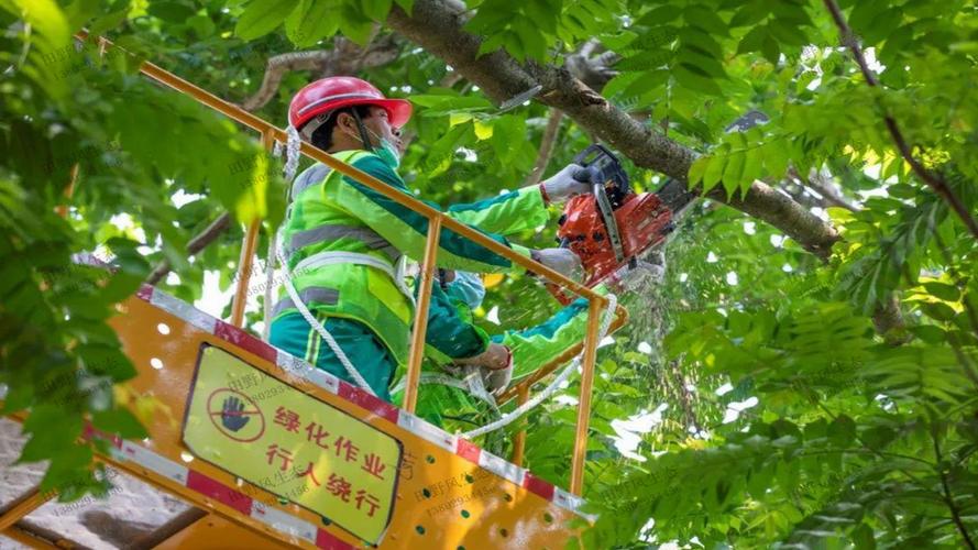 解密园林管理部门面试：专业素养和职业道德的考察重点