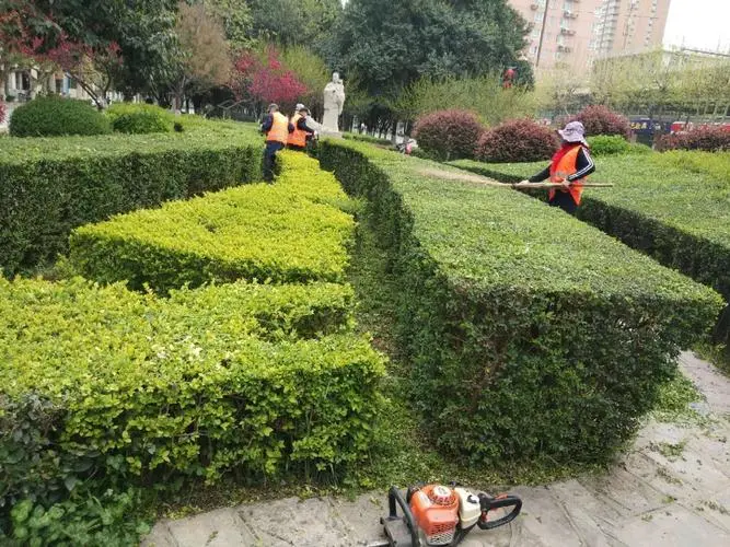别墅70平米园林景观设计